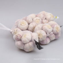 Wholesale Premium Quality New Fresh Vegetables Garlic With Cheap Price